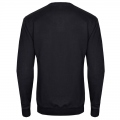 پلیور طرح POLO مردانه